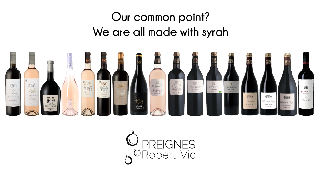 Syrah in all its forms: A thousand-wine grape variety ... - PREIGNES